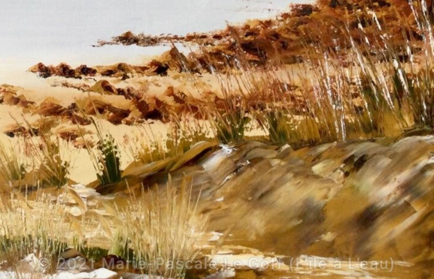 tableau paysage marin île de batz