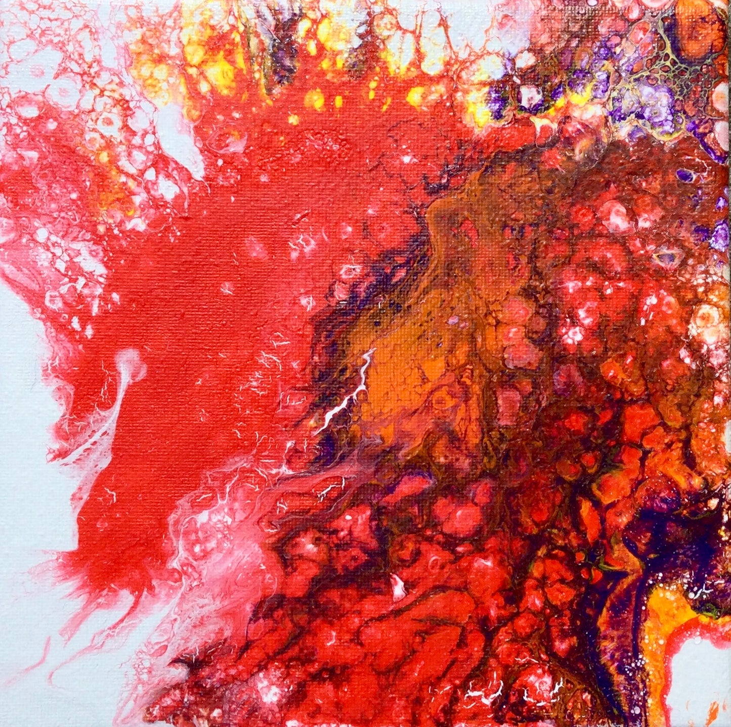 Acrylinque pouring Rouge, orange, pourpre 20x20 sur chevalet